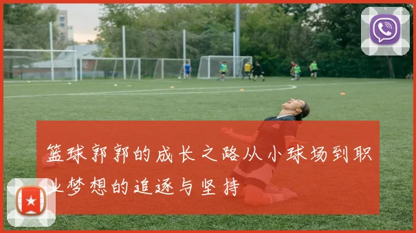 篮球郭郭的成长之路从小球场到职业梦想的追逐与坚持