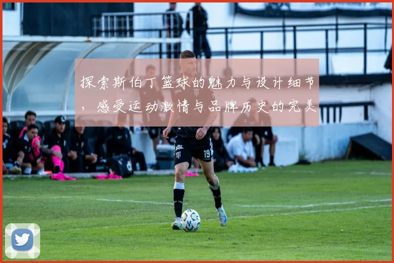 探索斯伯丁篮球的魅力与设计细节，感受运动激情与品牌历史的完美结合