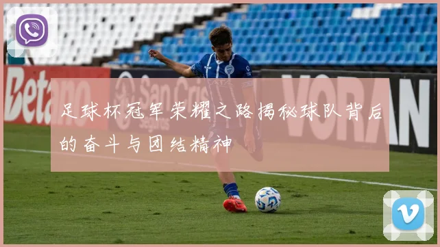 足球杯冠军荣耀之路揭秘球队背后的奋斗与团结精神