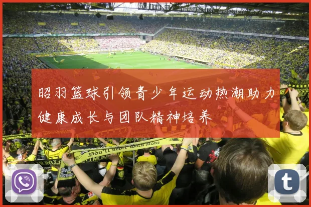 昭羽篮球引领青少年运动热潮助力健康成长与团队精神培养