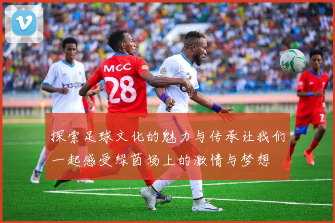 探索足球文化的魅力与传承让我们一起感受绿茵场上的激情与梦想